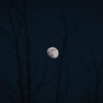 Домашний планетарий Homestar Pro - идеальный инструмент для изучения астрономии image_1040.jpg