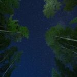 Светильник проектор звездное небо для дома и детской комнаты image_338.jpg