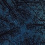 Homestar Classic домашний планетарий для любителей астрономии images467.jpg